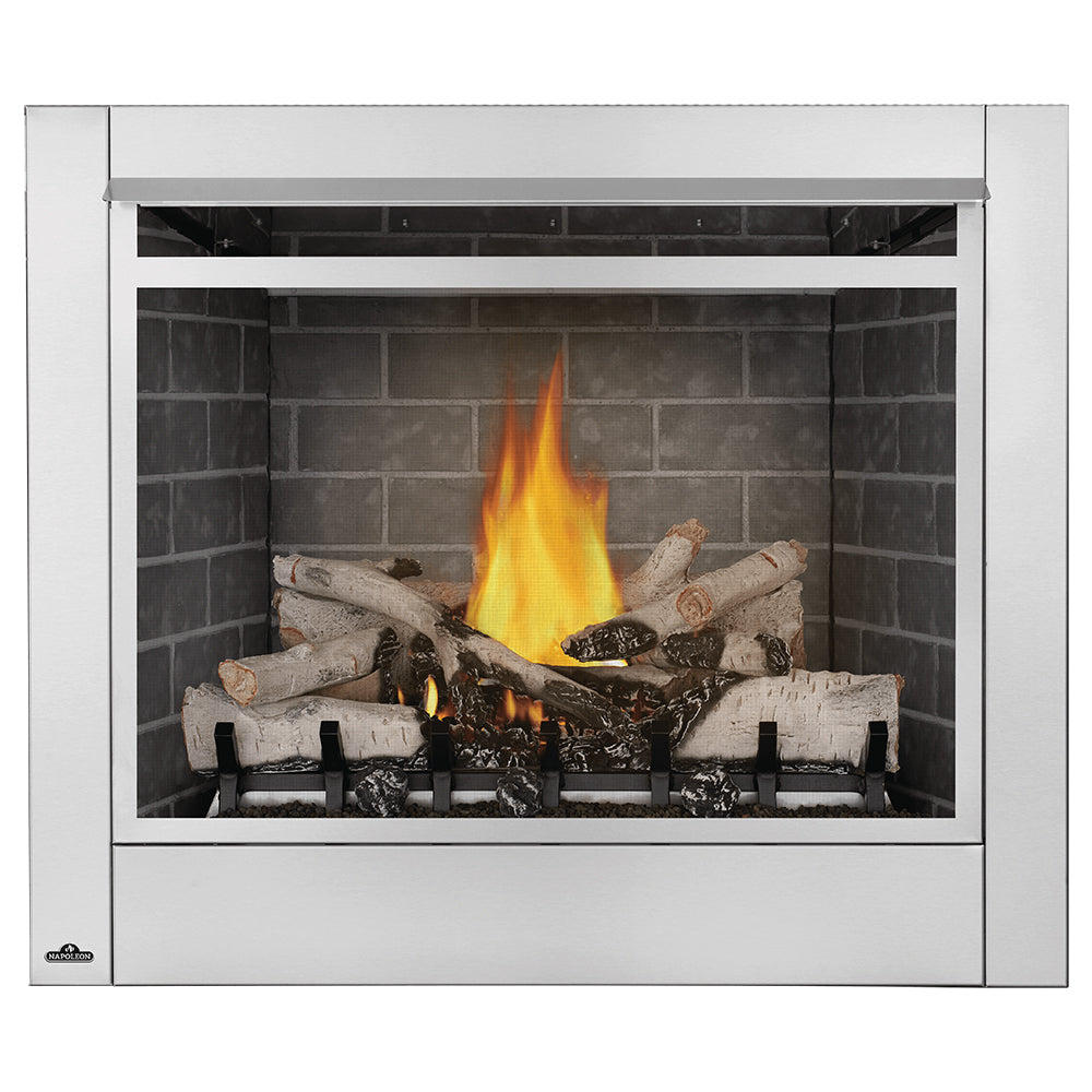 Napoleon Riverside 42-Inch Outdoor Gas Fireplace - RSS42NE