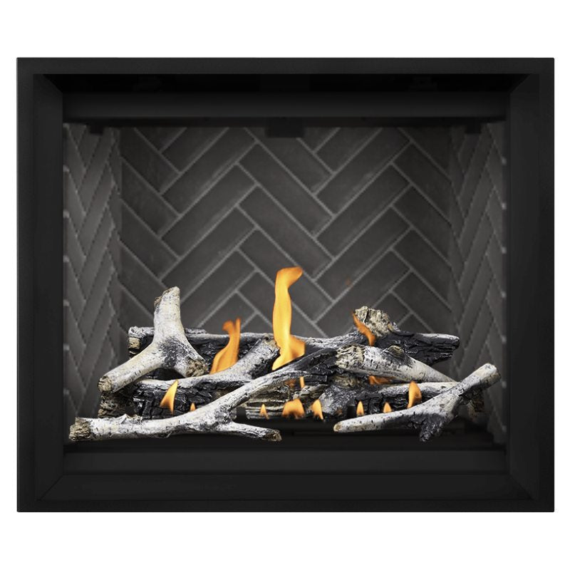 Napoleon Altitude X 42" Direct Vent Gas Fireplace | AX42-1