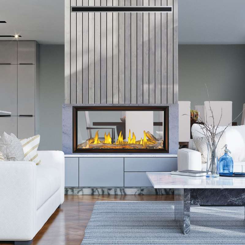 Napoleon Tall Vector 50" See Through Linear Direct Vent Gas Fireplace | TLV50N2