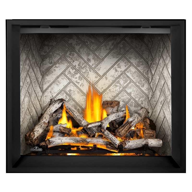 Napoleon Elevation X 42" Direct Vent Gas Fireplace | EX42