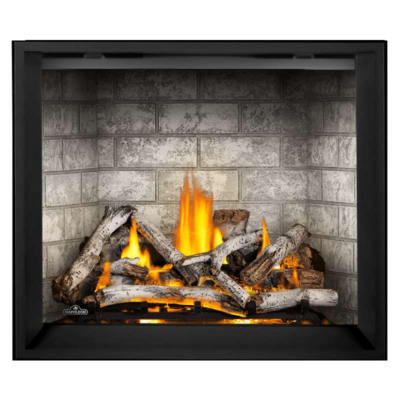 Napoleon Elevation X 42" Direct Vent Gas Fireplace | EX42
