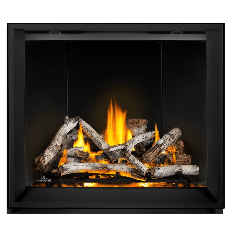 Napoleon Elevation X 42" Direct Vent Gas Fireplace | EX42
