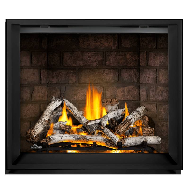 Napoleon Elevation X 42" Direct Vent Gas Fireplace | EX42