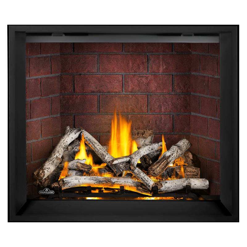 Napoleon Elevation X 42" Direct Vent Gas Fireplace | EX42